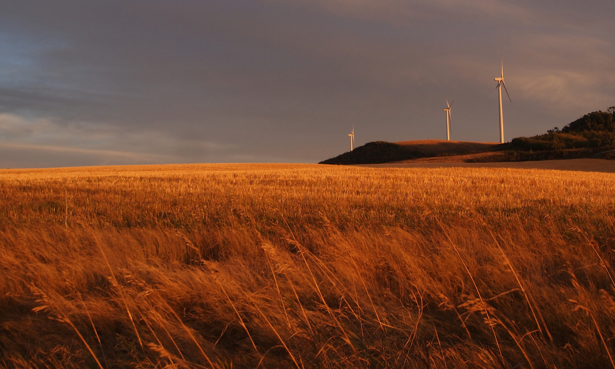 breaking-the-cycle-changing-alberta-in-the-present-to-save-the-future