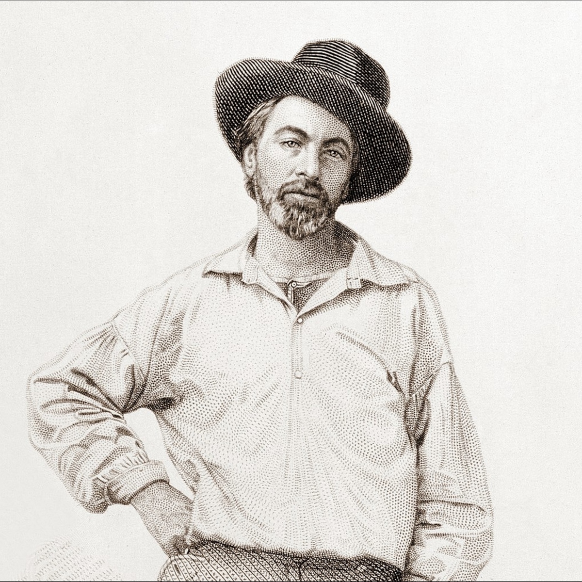 How Walt Whitman Imbued New Meaning on an Old Flower
