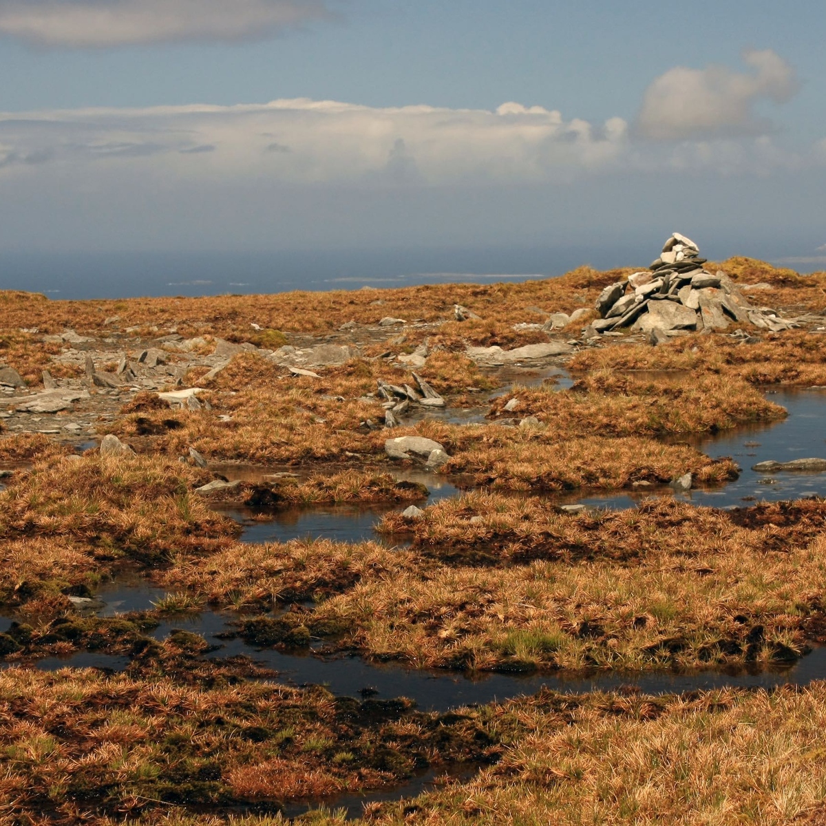 resurrecting-the-bog-queen-exploring-the-gender-politics-of-ireland-s